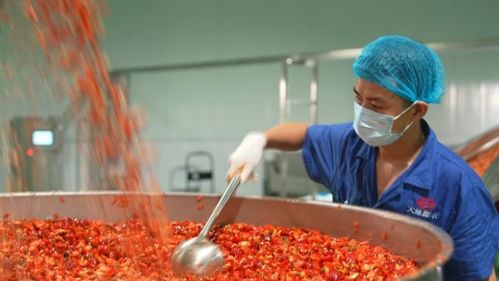 遵義 以“芯片”思維選好辣椒 助推食品產(chǎn)業(yè)騰飛