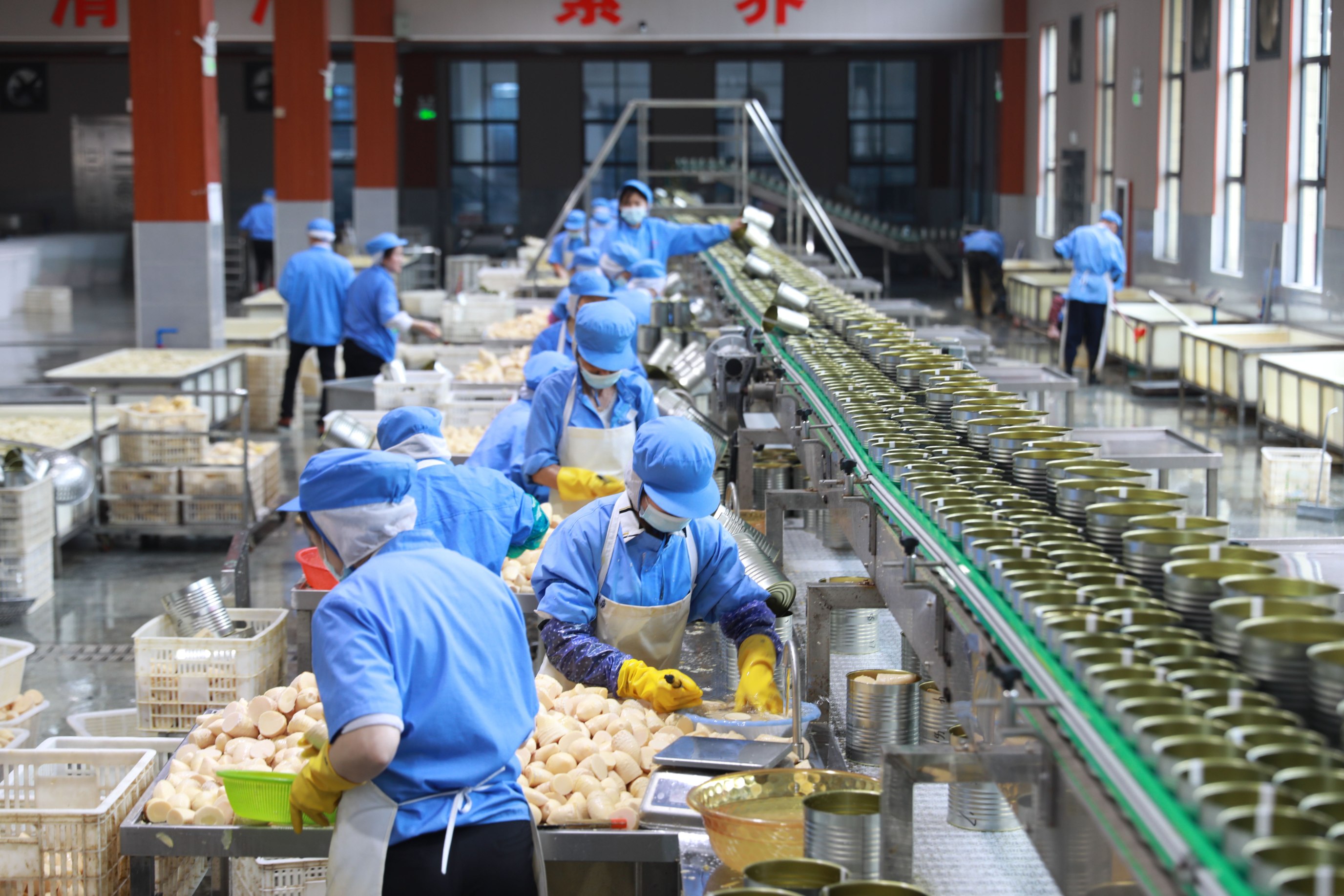 人行樂安縣支行 金融活水精準滴灌，助力竹筍產業融合升級